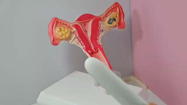 🌸🌿Prendre soin de votre intimité, naturellement , Medecine chinoise🌸🌿